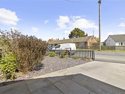 Picture 20